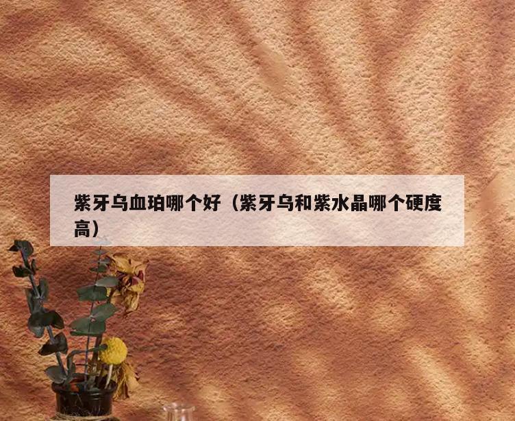 紫牙乌血珀哪个好(紫牙乌和紫水晶哪个硬度高)