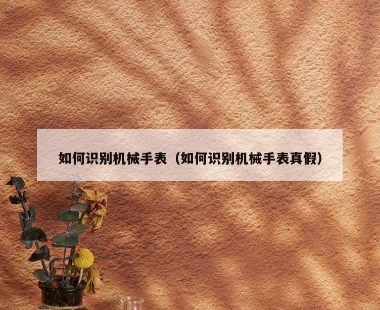 如何识别机械手表(如何识别机械手表真假)
