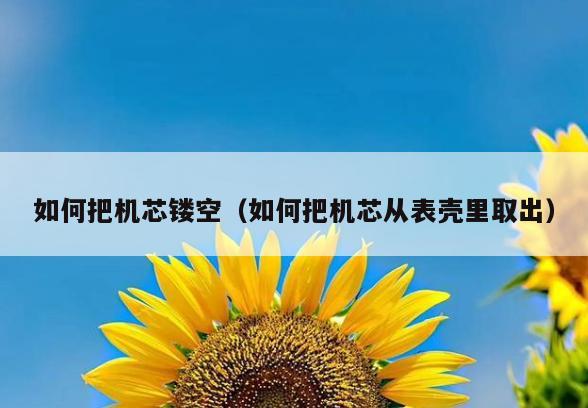 如何把机芯镂空(如何把机芯从表壳里取出)
