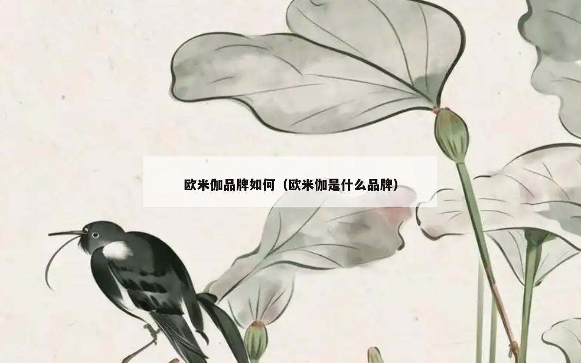 欧米伽品牌如何(欧米伽是什么品牌)