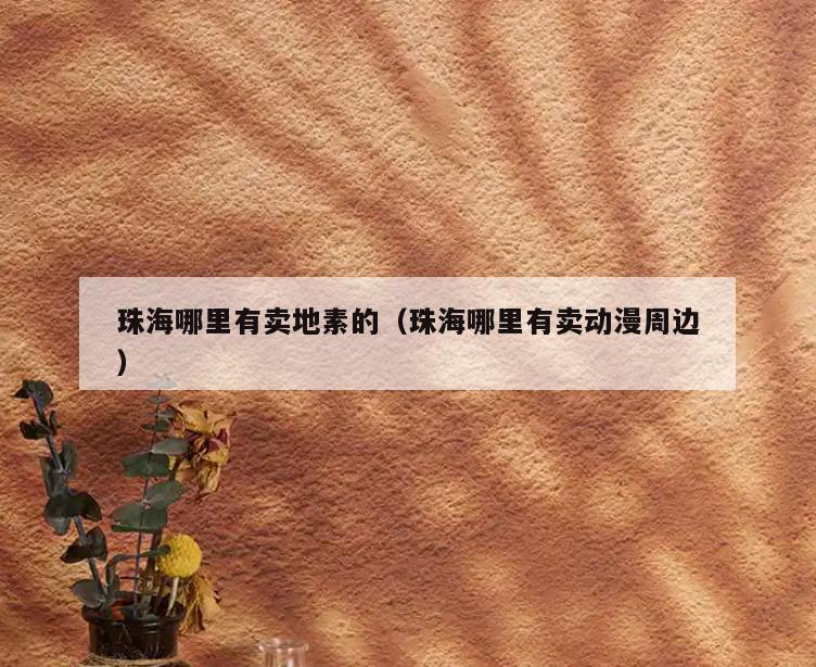 珠海哪里有卖地素的(珠海哪里有卖动漫周边)