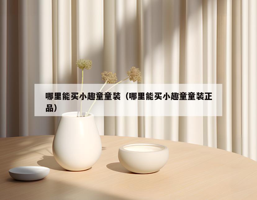 哪里能买小趣童童装(哪里能买小趣童童装正品)