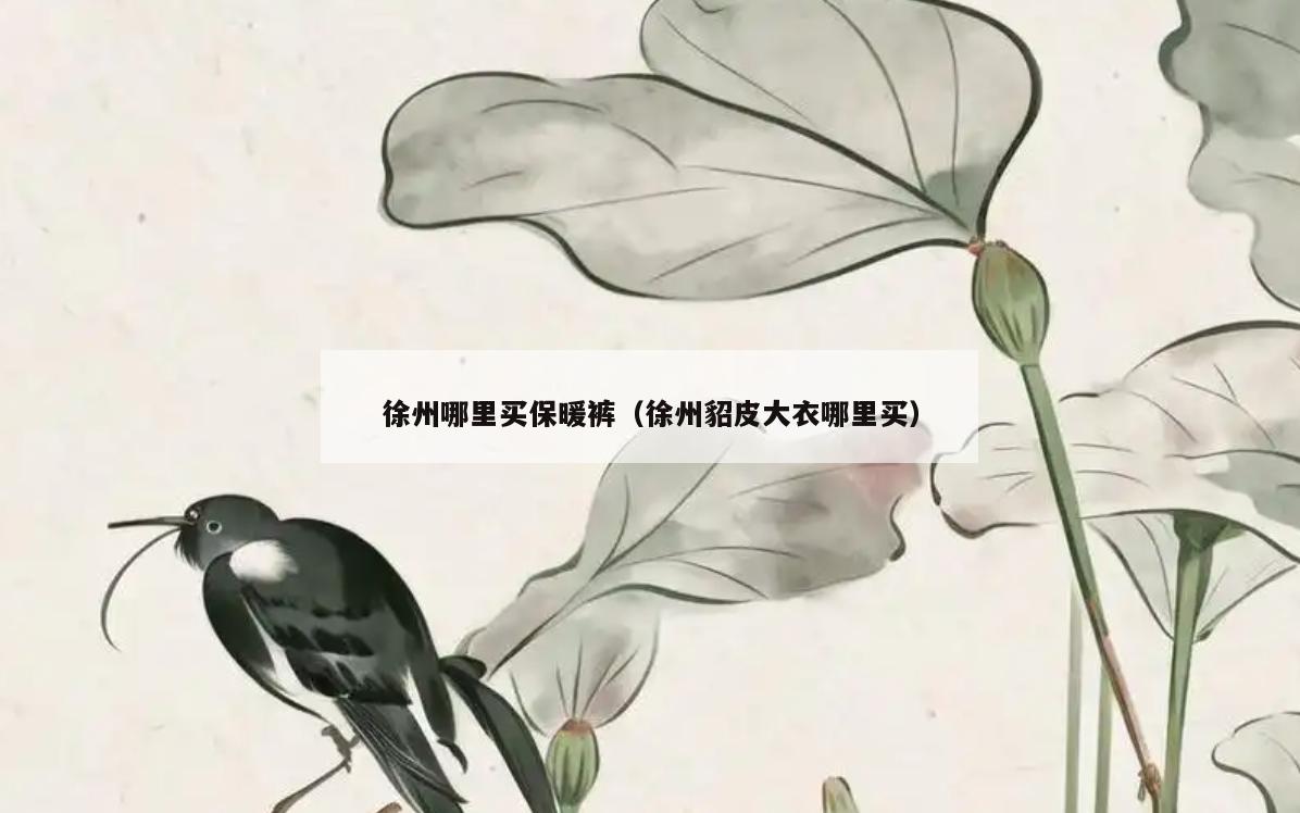 徐州哪里买保暖裤(徐州貂皮大衣哪里买)
