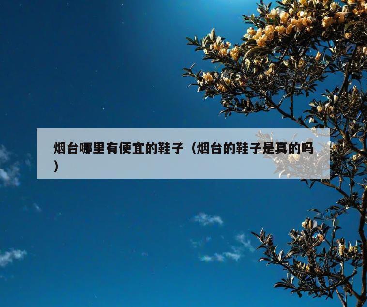 烟台哪里有便宜的鞋子(烟台的鞋子是真的吗)