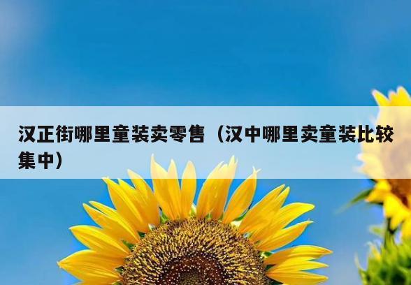 汉正街哪里童装卖零售(汉中哪里卖童装比较集中)