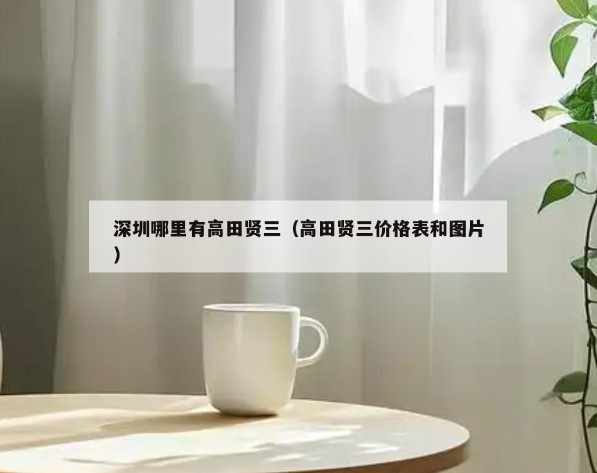 深圳哪里有高田贤三(高田贤三价格表和图片)