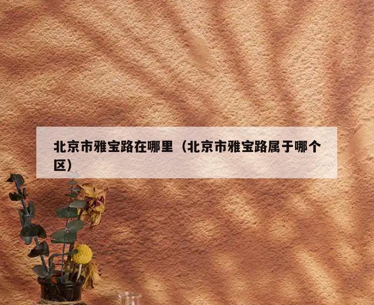 北京市雅宝路在哪里(北京市雅宝路属于哪个区)