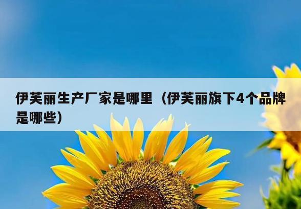伊芙丽生产厂家是哪里(伊芙丽旗下4个品牌是哪些)