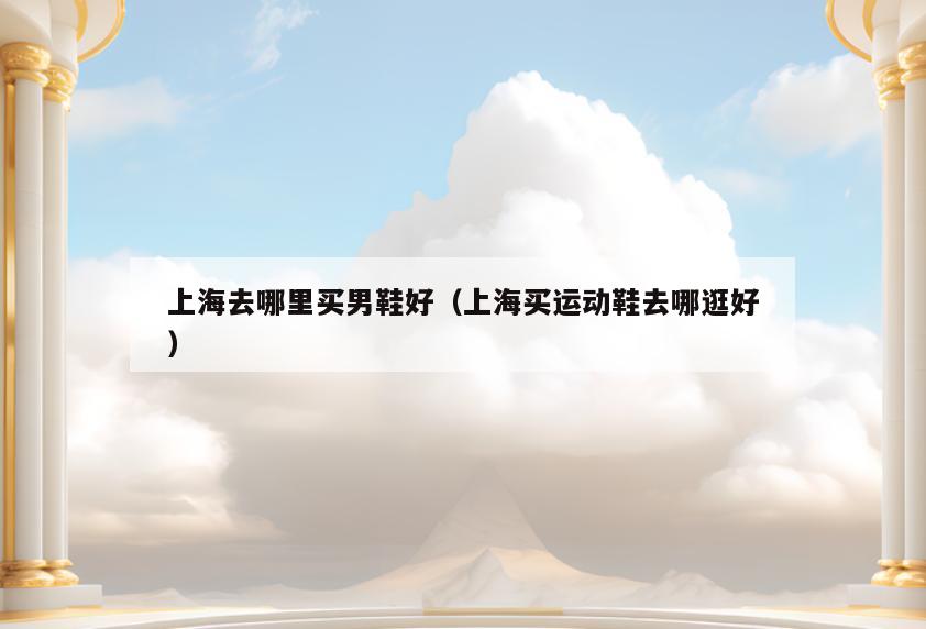 上海去哪里买男鞋好(上海买运动鞋去哪逛好)