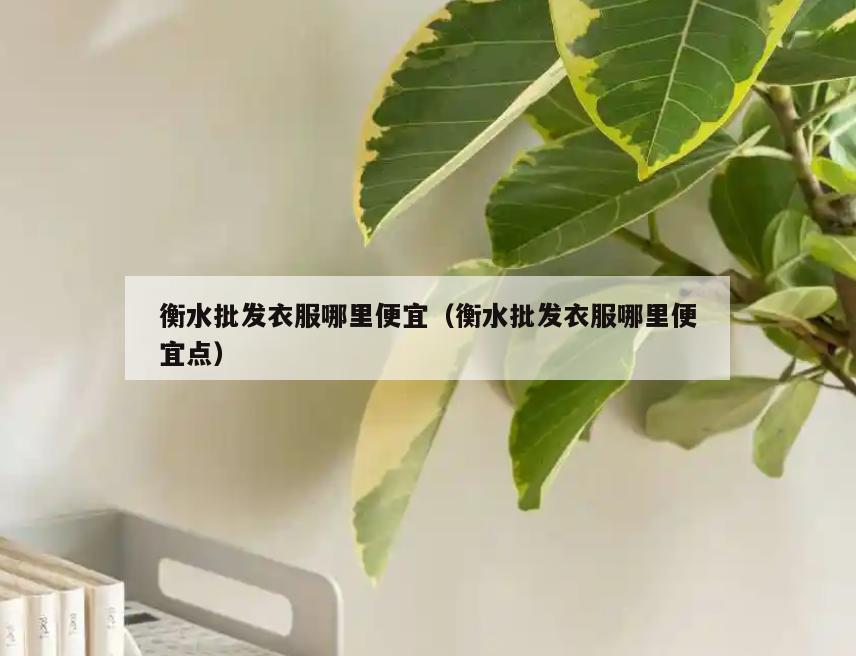 衡水批发衣服哪里便宜(衡水批发衣服哪里便宜点)