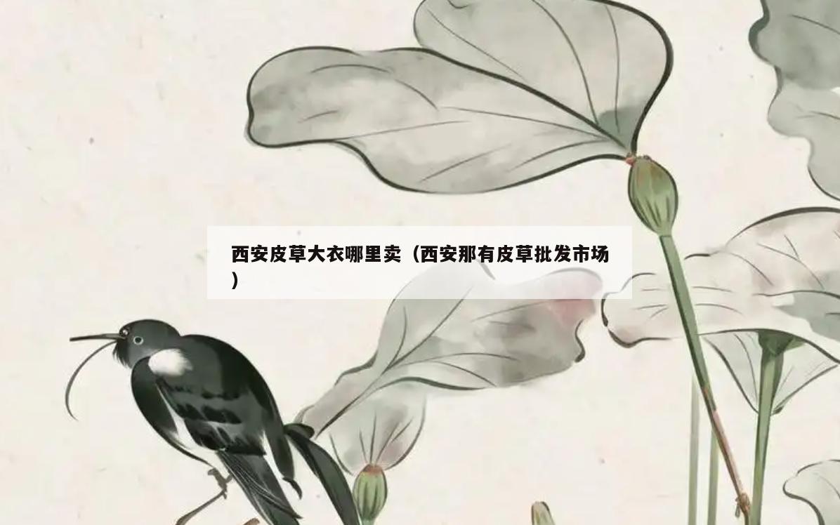 西安皮草大衣哪里卖(西安那有皮草批发市场)