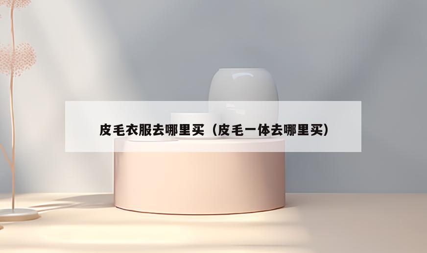 皮毛衣服去哪里买(皮毛一体去哪里买)