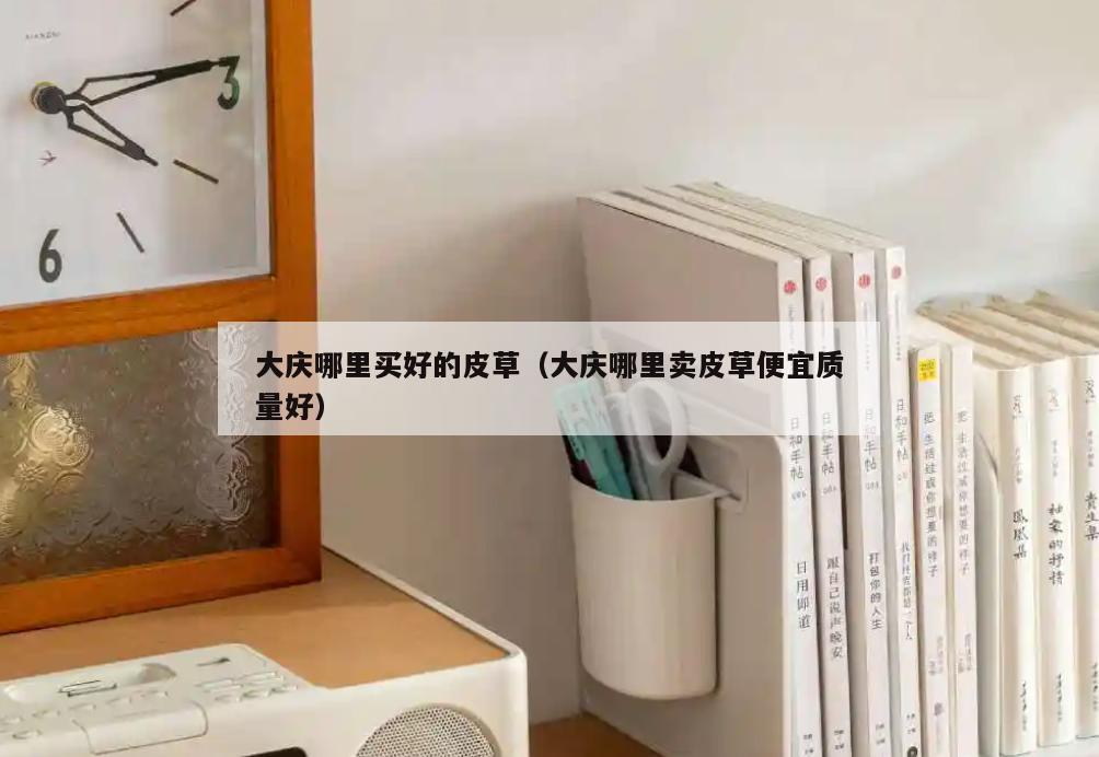 大庆哪里买好的皮草(大庆哪里卖皮草便宜质量好)