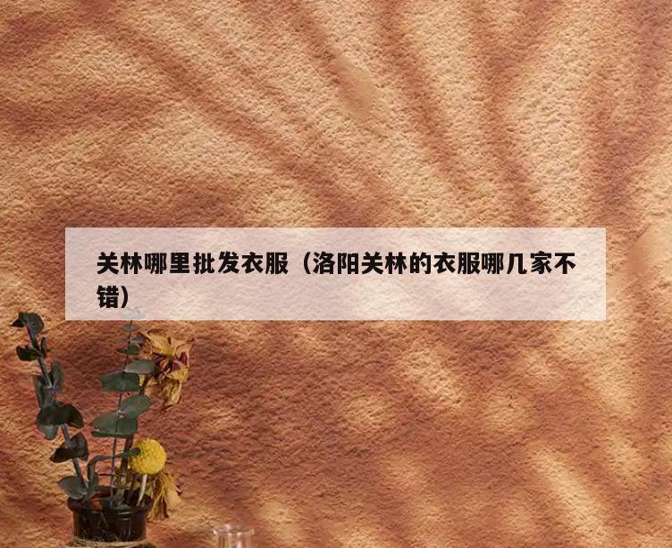 关林哪里批发衣服(洛阳关林的衣服哪几家不错)