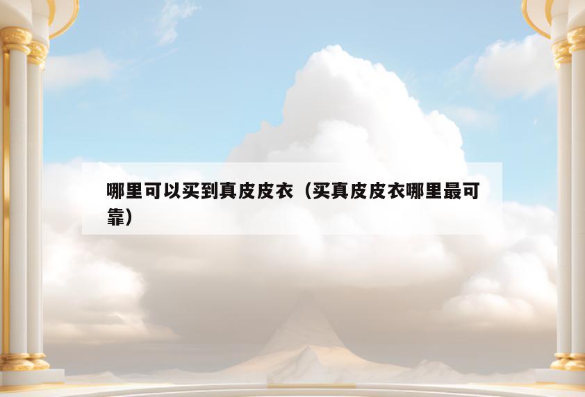 哪里可以买到真皮皮衣(买真皮皮衣哪里最可靠)