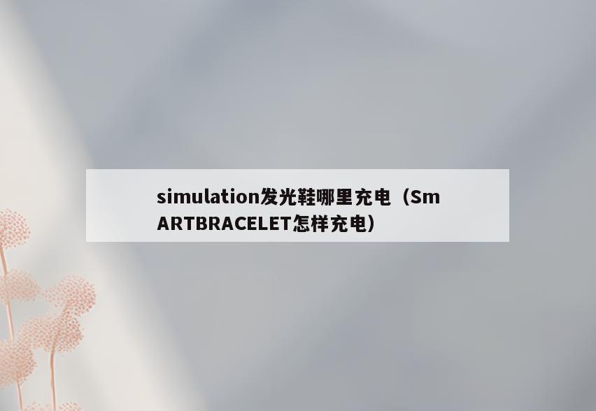 simulation发光鞋哪里充电(SmARTBRACELET怎样充电)