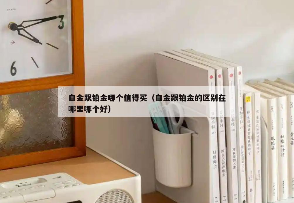 白金跟铂金哪个值得买(白金跟铂金的区别在哪里哪个好)