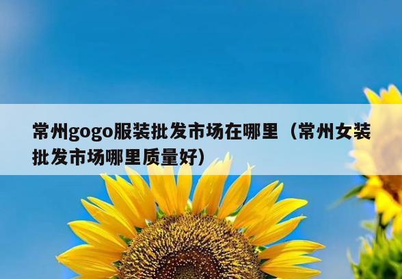 常州gogo服装批发市场在哪里(常州女装批发市场哪里质量好)
