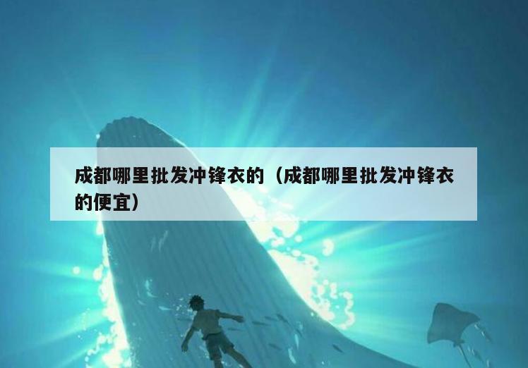 成都哪里批发冲锋衣的(成都哪里批发冲锋衣的便宜)