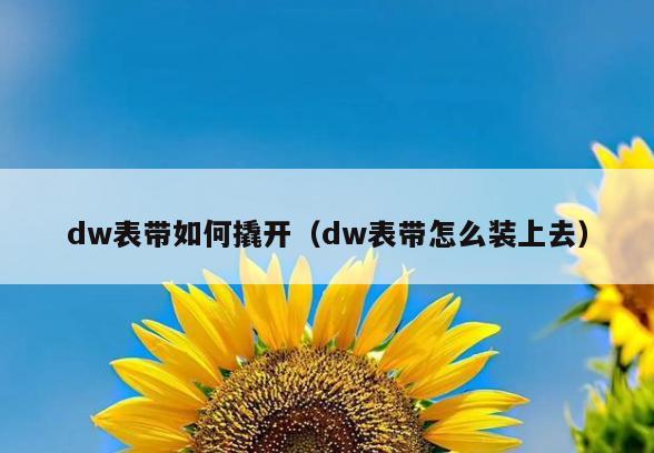 dw表带如何撬开(dw表带怎么装上去)