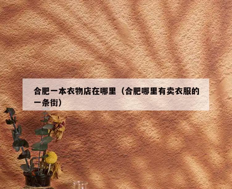 合肥一本衣物店在哪里(合肥哪里有卖衣服的一条街)