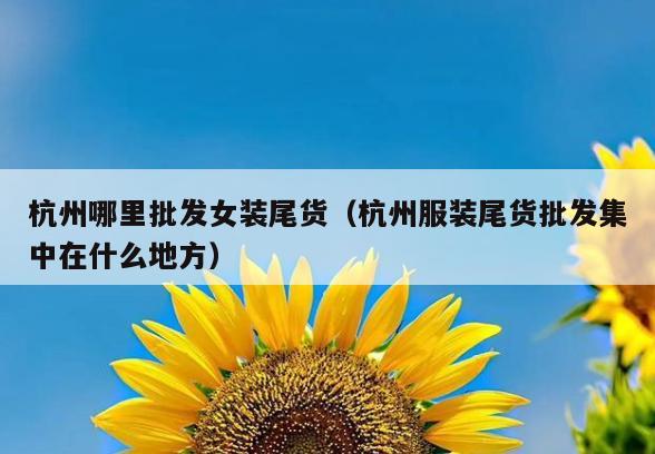 杭州哪里批发女装尾货(杭州服装尾货批发集中在什么地方)