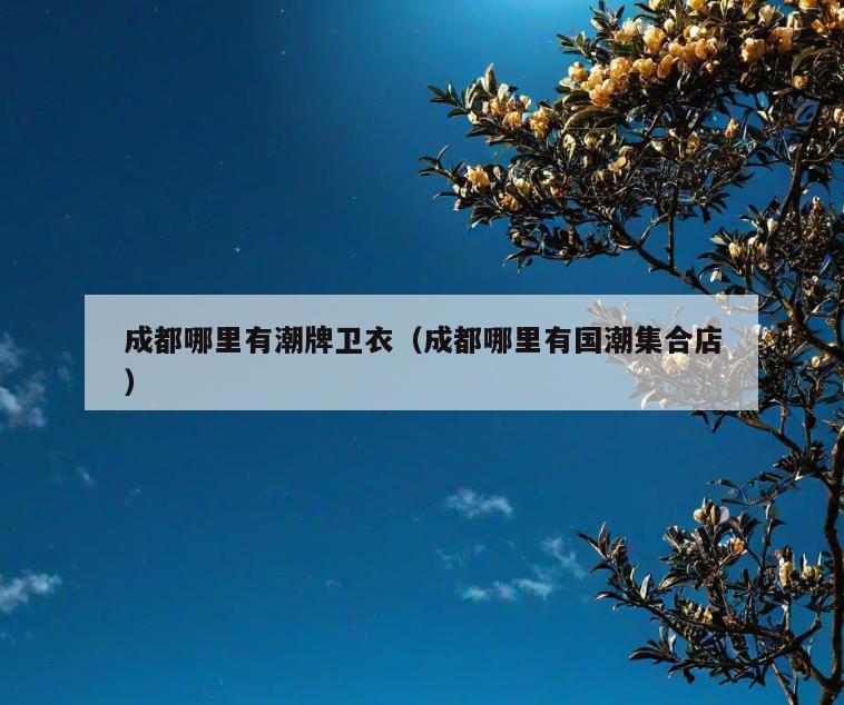 成都哪里有潮牌卫衣(成都哪里有国潮集合店)