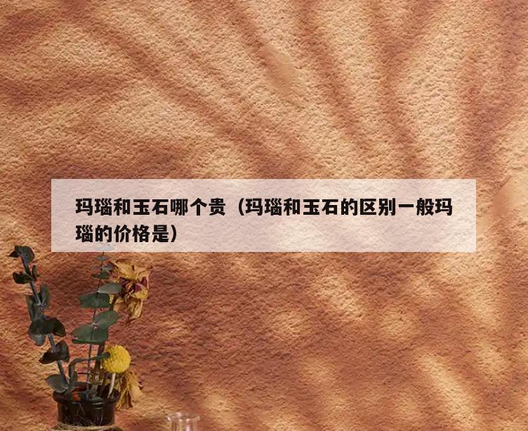 玛瑙和玉石哪个贵(玛瑙和玉石的区别一般玛瑙的价格是)