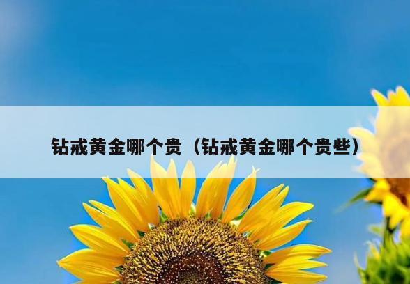钻戒黄金哪个贵(钻戒黄金哪个贵些)