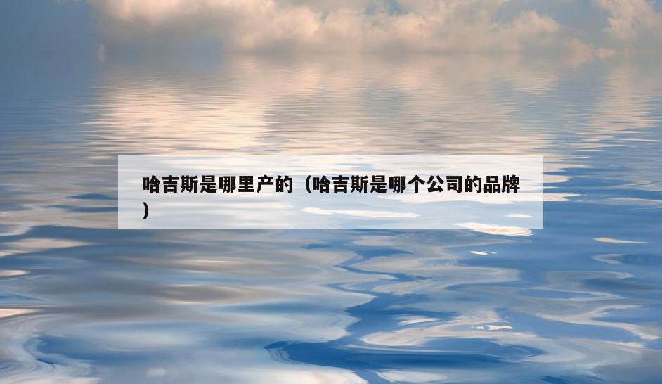 哈吉斯是哪里产的(哈吉斯是哪个公司的品牌)