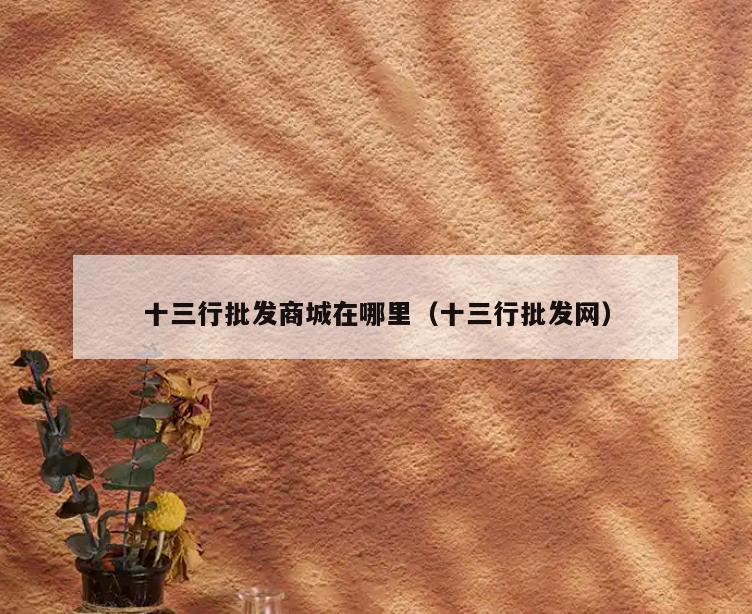 十三行批发商城在哪里(十三行批发网)