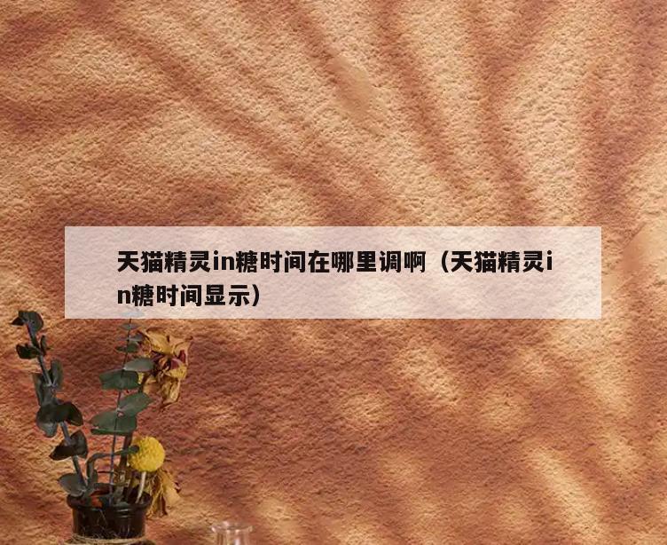 天猫精灵in糖时间在哪里调啊(天猫精灵in糖时间显示)