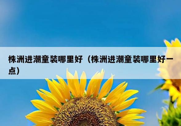 株洲进潮童装哪里好(株洲进潮童装哪里好一点)