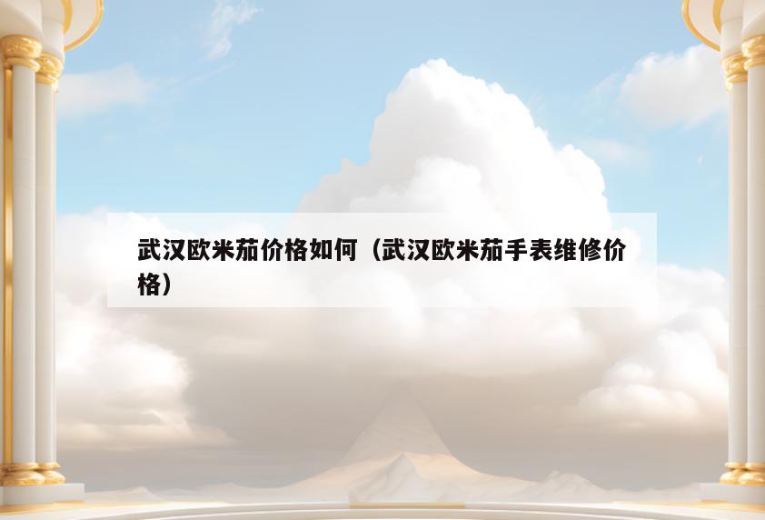 武汉欧米茄价格如何(武汉欧米茄手表维修价格)