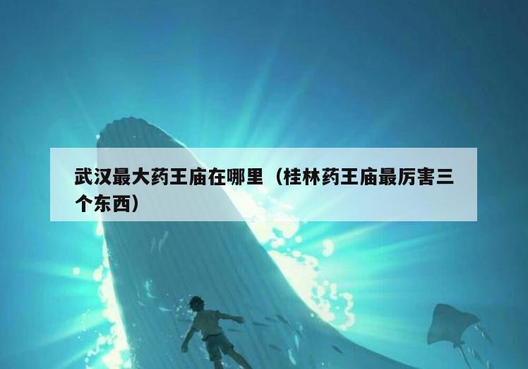武汉最大药王庙在哪里(桂林药王庙最厉害三个东西)