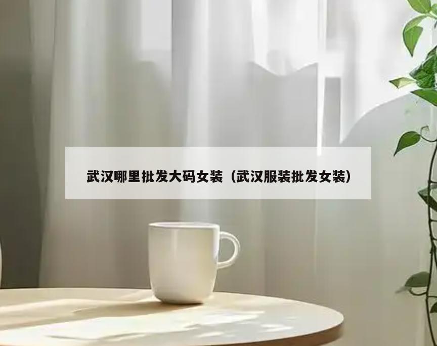 武汉哪里批发大码女装(武汉服装批发女装)