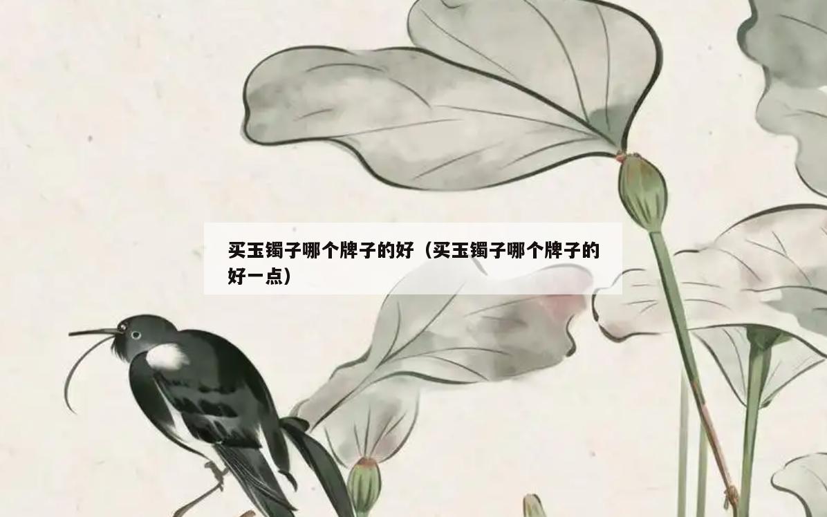 买玉镯子哪个牌子的好(买玉镯子哪个牌子的好一点)