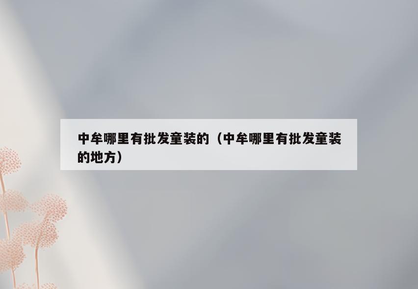 中牟哪里有批发童装的(中牟哪里有批发童装的地方)