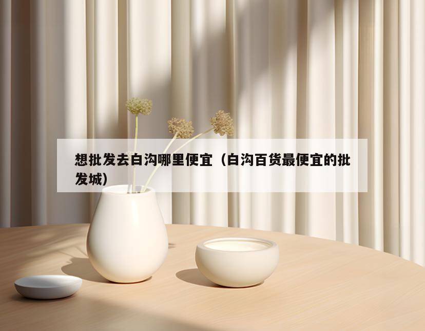 想批发去白沟哪里便宜(白沟百货最便宜的批发城)