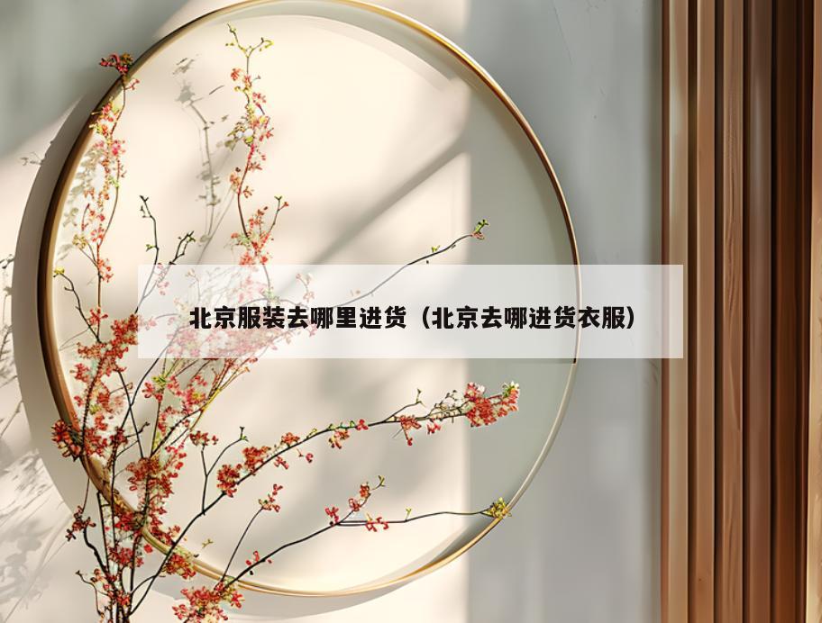 北京服装去哪里进货(北京去哪进货衣服)