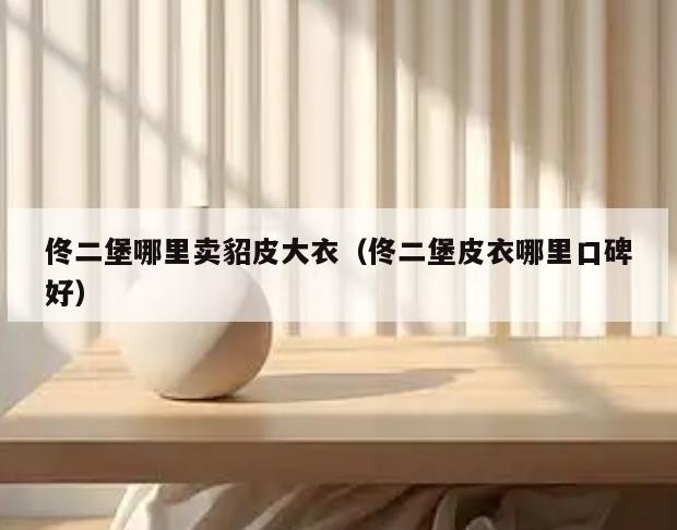 佟二堡哪里卖貂皮大衣(佟二堡皮衣哪里口碑好)