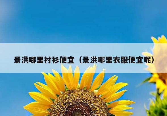 景洪哪里衬衫便宜(景洪哪里衣服便宜呢)
