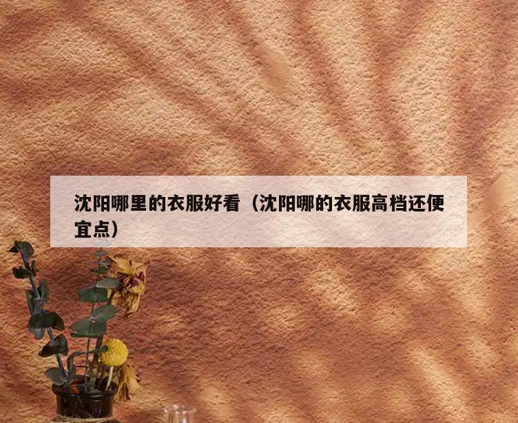 沈阳哪里的衣服好看(沈阳哪的衣服高档还便宜点)