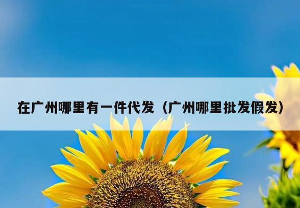 在广州哪里有一件代发(广州哪里批发假发)