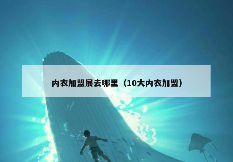 内衣加盟展去哪里(10大内衣加盟)