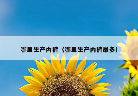 哪里生产内裤(哪里生产内裤最多)