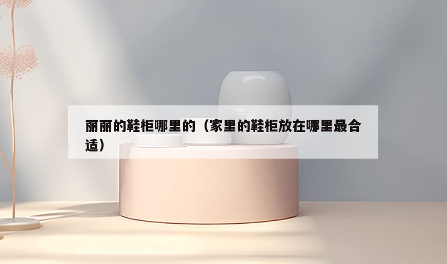 丽丽的鞋柜哪里的(家里的鞋柜放在哪里最合适)