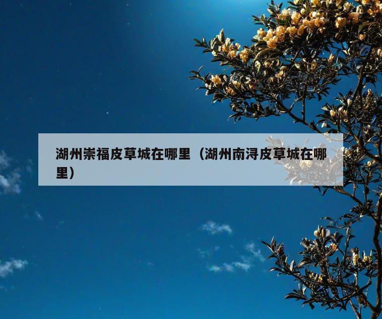 湖州崇福皮草城在哪里(湖州南浔皮草城在哪里)