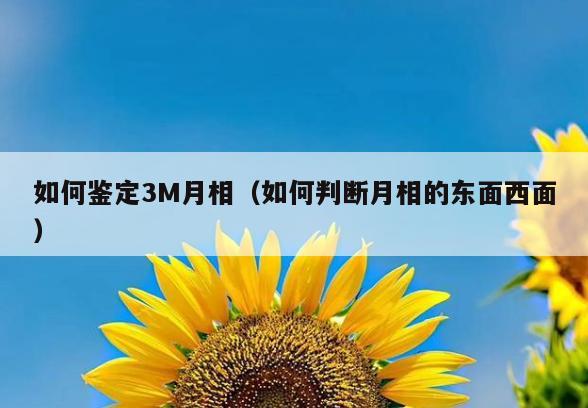 如何鉴定3M月相(如何判断月相的东面西面)