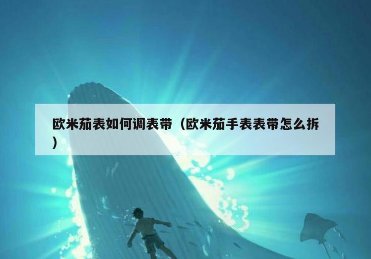 欧米茄表如何调表带(欧米茄手表表带怎么拆)